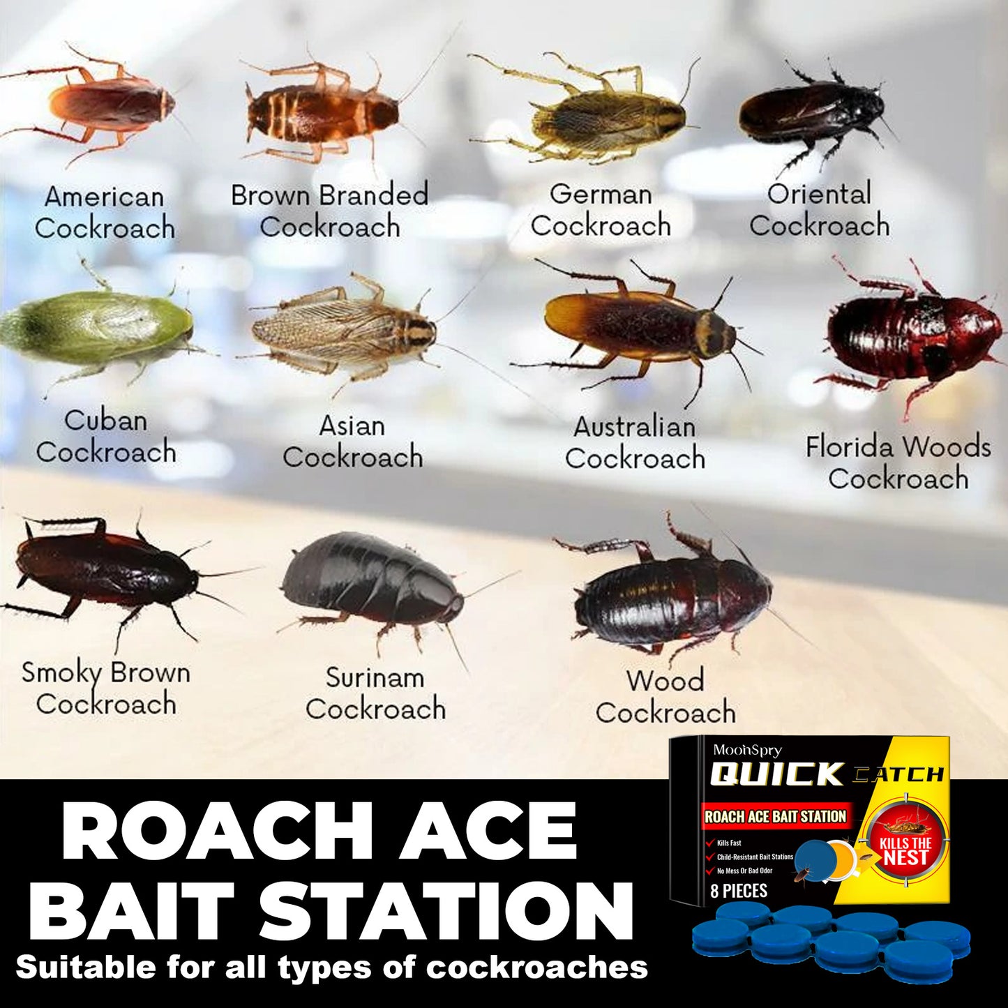Fifuroes Roach Ace Bait Station, Insect-Repellent Cockroach Bait Kitchen Home Cockroach Elimination Whole Nest End Cleaner