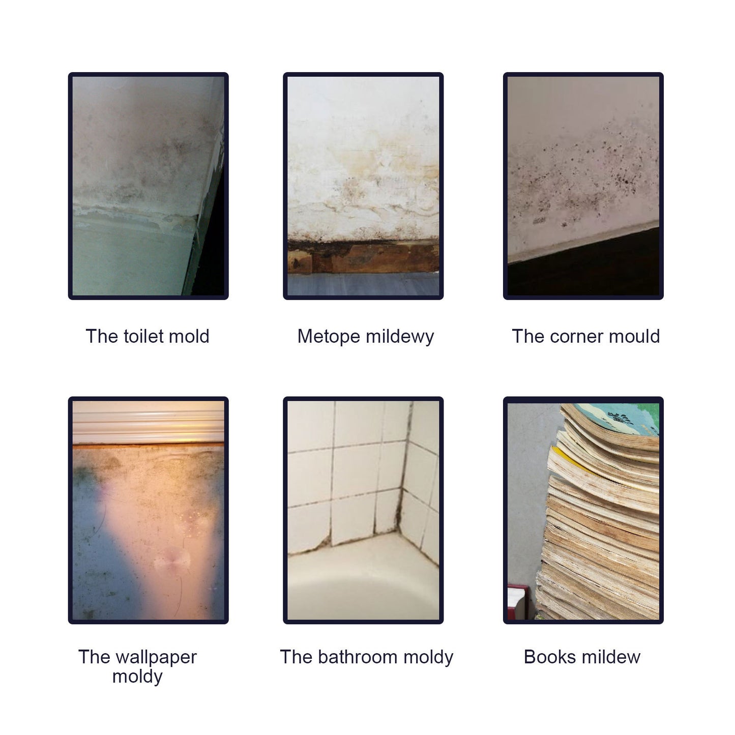 Fifuroes Mold Remover Spray, Ceiling Bathroom Tile Wall Multi-Effect Cleaning Decontamination And Mildew Removal Spray