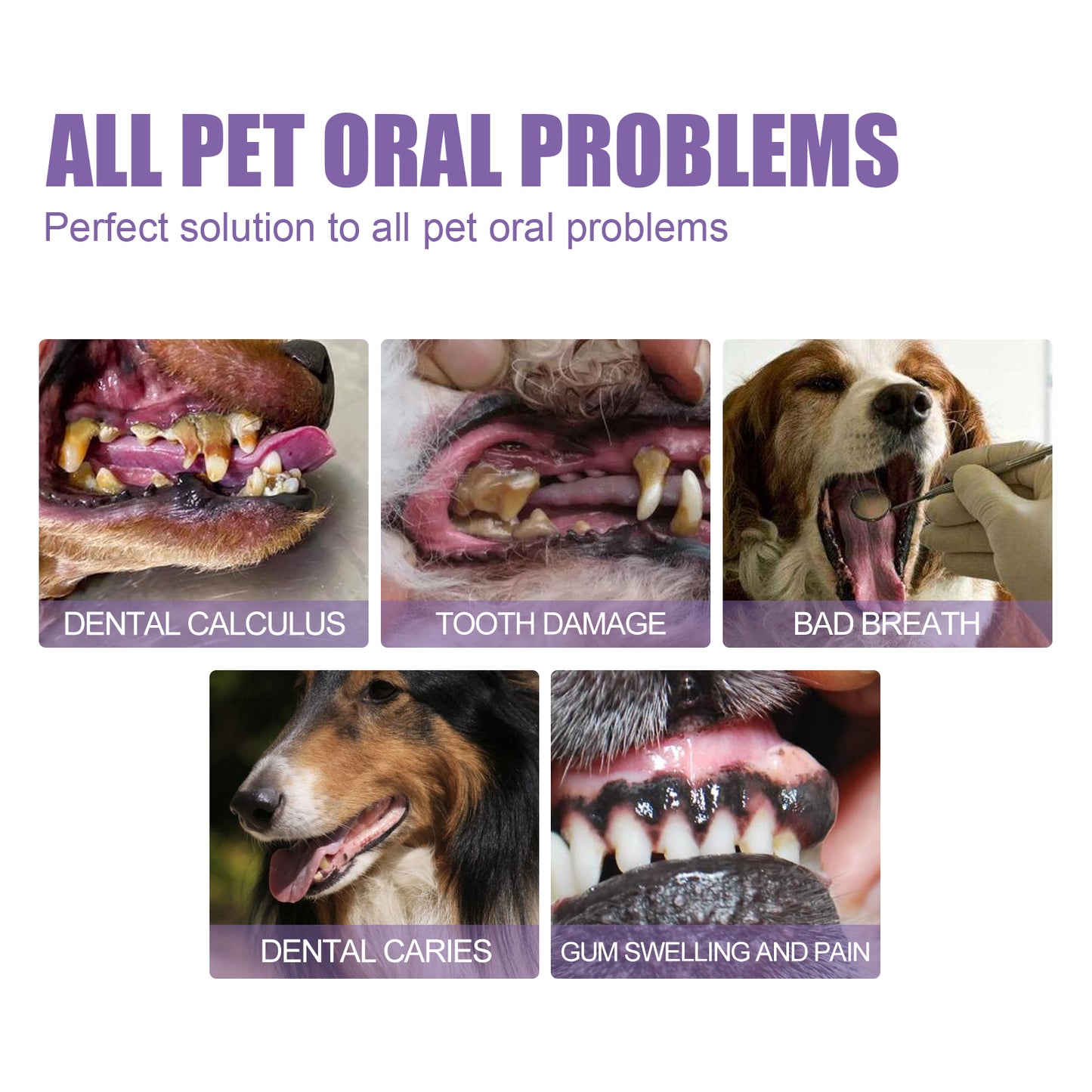 Fifuroes Pet Oral Repair Gel, Deep Cleaning Dog And Cat Tooth Stains Oral Cleaning Care