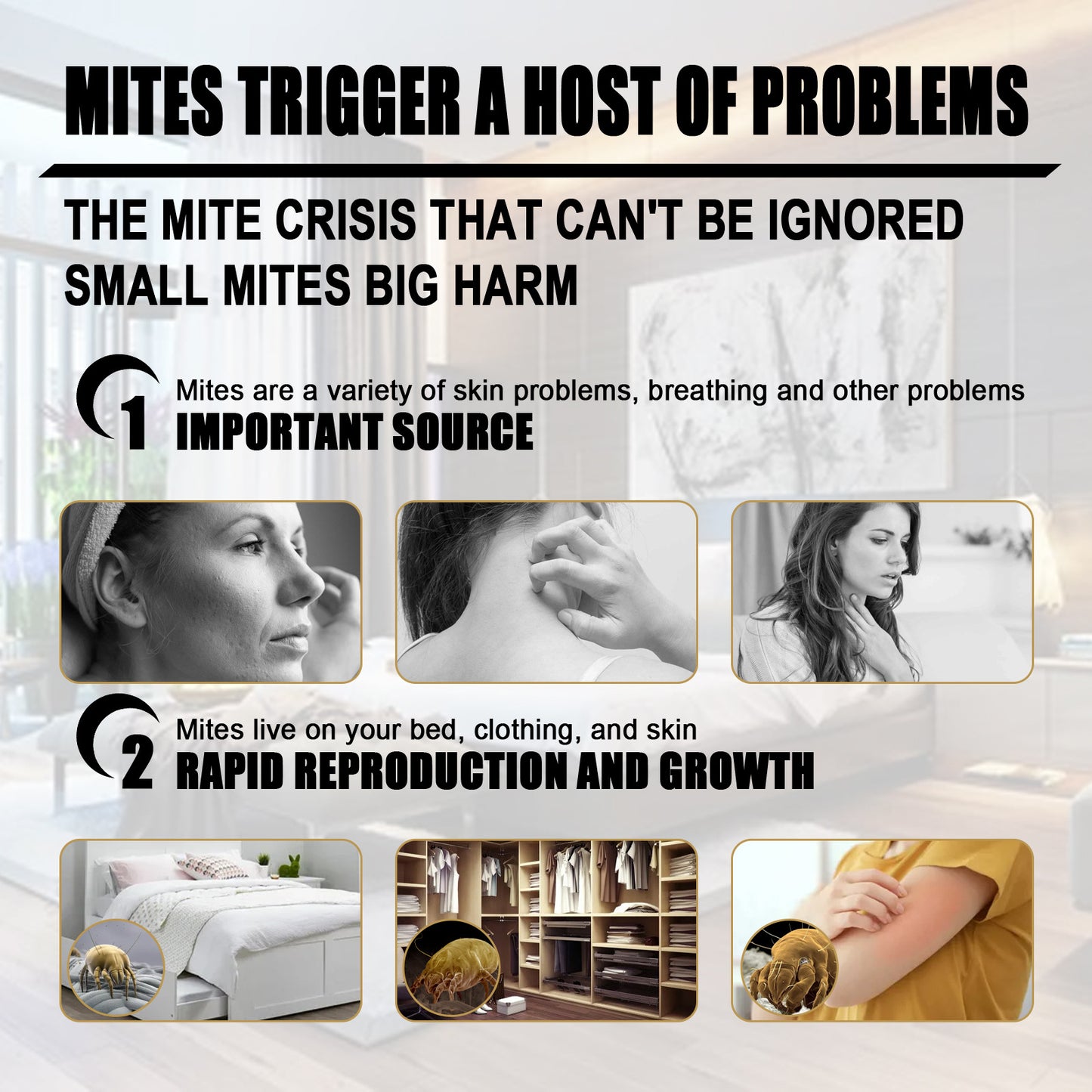 Fifuroes Mite Removal Agent Mite Removal Kit For Household Bed Clothing Plant Mite Removal Kit For Catching Mites
