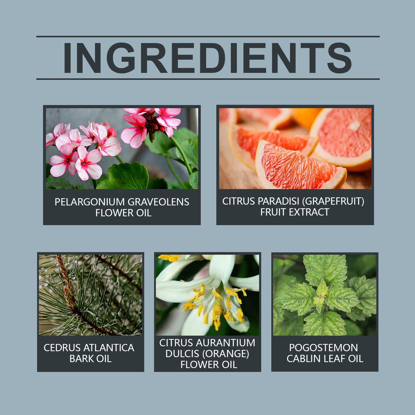 Fifuroes Perfumed Body Balm Clear Cold India Cedar Natural Fragrance Lasting, Not Easy To Loose Non-Sticky Portable Pocket Balm